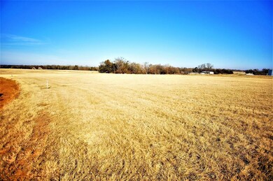 Lot 8E Desert Mountain Dr, Gordonville, TX 76245 - photo 5