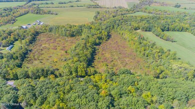 Aerial 2