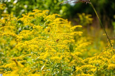 10910 S Shore Dr, Suttons Bay, MI 49682 - photo 7