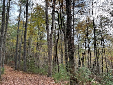 0 Zion Hill Rd unit 411375, Ellijay, GA 30540 - photo 7