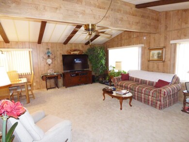 Vaulted Ceilings in Living Room