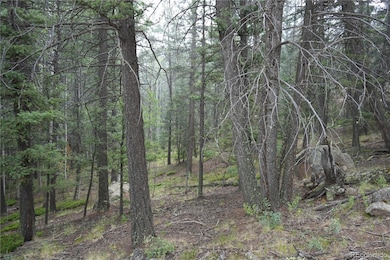 28 Feldspar Rd, Florissant, CO 80816 - photo 3