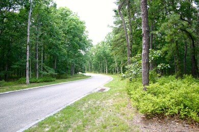 IMG_8859