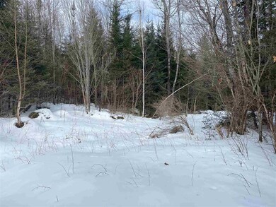 203 W Forest Lake Rd, Bethlehem, NH 03574 - photo 5