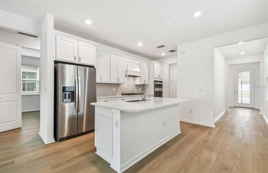 Modern Kitchen
