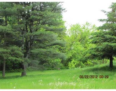 Yard/Garden.