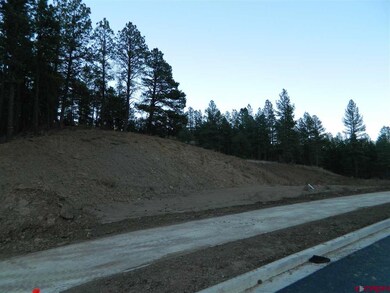 0 Twin Buttes Ave unit 726619, Durango, CO 81301 - photo 2