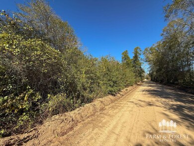 XX2 Seay Rd, Cottondale, FL 32431 - photo 5