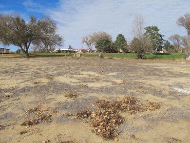 X Pinehurst Dr, Farmington, NM 87402 - photo 2