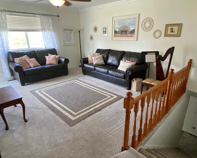 Living Room IMG_1187