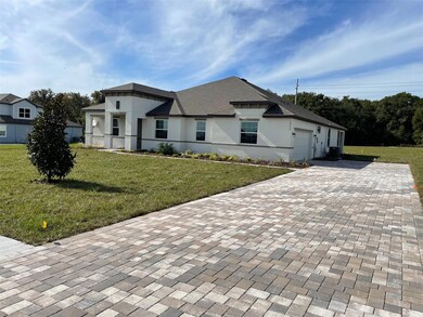 10064 Dolphin Gull Cir, Thonotosassa, FL 33592 - photo 2