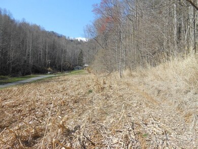 626 Stewart Simmons Rd, Deep Gap, NC 28618 - photo 4