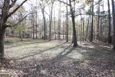 1069 Halton Ct, Brandon, MS 39047 - photo 6