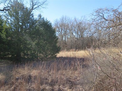 354 County Road 4690, Boyd, TX 76023 - photo 5