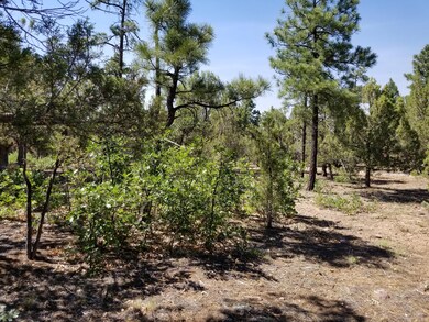 1401 Thinleaf