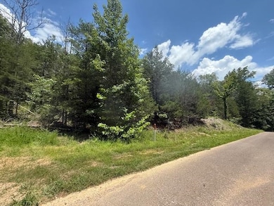 TRACT 6 Cherry Chapel Loop, Savannah, TN 38372 - photo 6