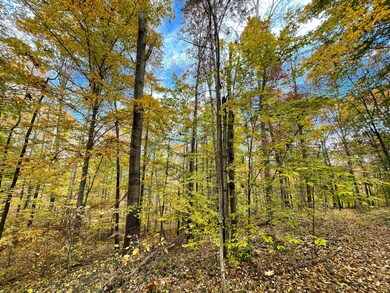 IMG_5230