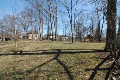 Large Rear Yard