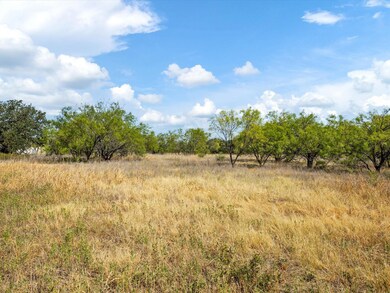 Lot 2 Blairport Ln, Weatherford, TX 76087 - photo 6