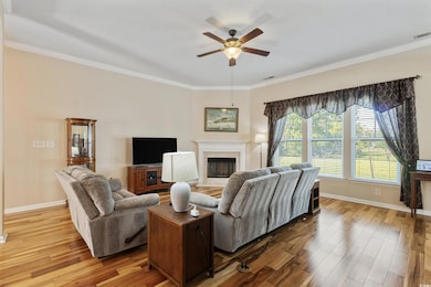 Living room featuring a fireplace, ornamental molding, ceiling fan, and light wood-style floors