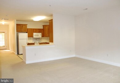 12909 Little Hayden Cir unit 2, Hagerstown, MD 21742 - photo 4