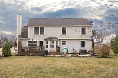 Rear Yard