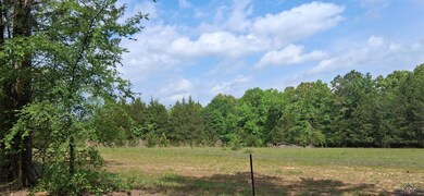 View of woods