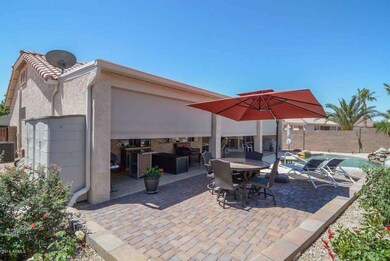 Backyard2