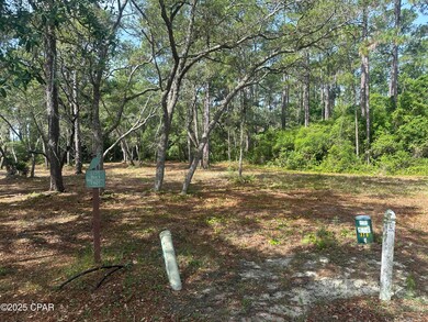 1401 Turtleback Trail, Panama City Beach, FL 32413 - photo 4