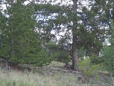 Land/Lot.