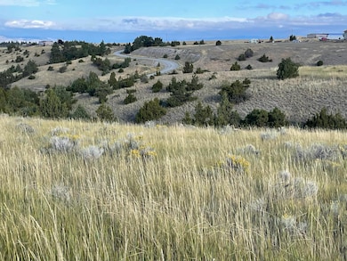 TBD S Fork Ray Creek Rd, Townsend, MT 59644 - photo 7