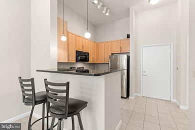 Silverton Condominiums, Silver Spring, MD 20910 - photo 4