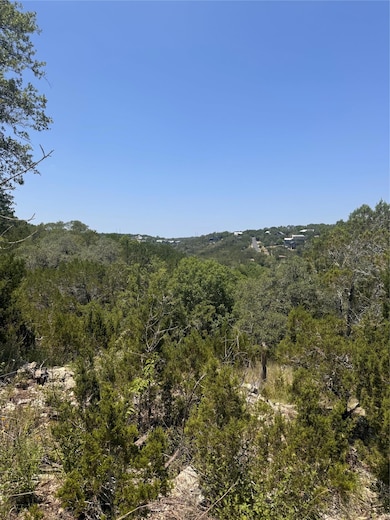View of tree filled area