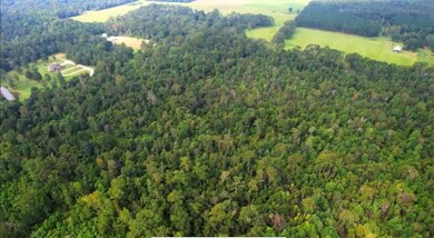 0 Old Barker Rd, Covington, LA 70435 - photo 2