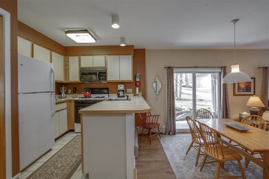 355 Village Cir unit V4, Killington, VT 05751 - photo 3