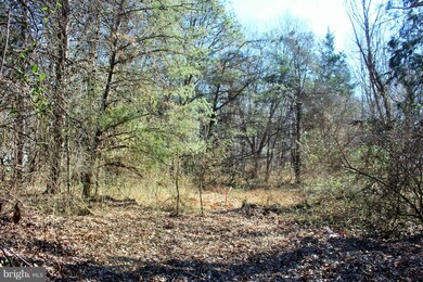 5721 Turner Rd, Broad Run, VA 20137 - photo 2