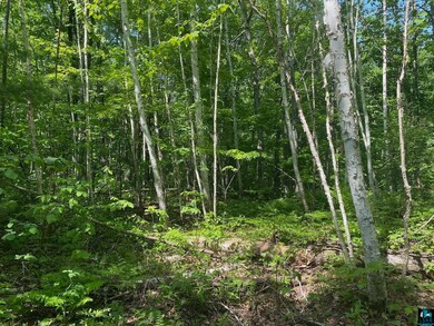 View of nature