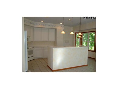 The huge eat in kitchen is an entertainer's delight! It features plenty of cabinets and prep space, a breakfast nook w/ bay window overlooking the woods, an open dining area, see through fireplace and more!