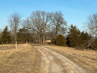 IMG_0798