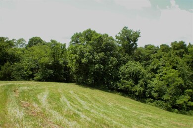 1 Alhambra Rd unit 3, Mount Olivet, KY 41064 - photo 3