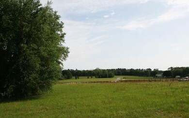 LOT16 Mandiba Dr, Lake City, FL 32024 - photo 3