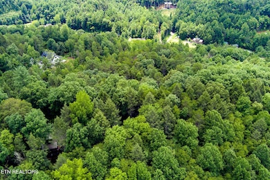 424 Tunis Rd, Pittman Center, TN 37876 - photo 5