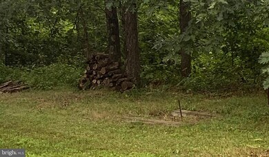 105 Henry O Michael Rd, Berkeley Springs, WV 25411 - photo 5