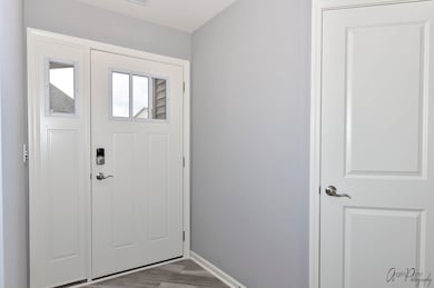 3917 Monica Ln unit 4, Johnsburg, IL 60051 - photo 2