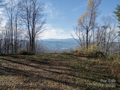 1098 Hyacinth Dr, Clyde, NC 28721 - photo 2