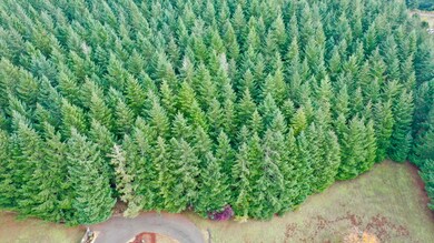 R551900300 Maptaxlot, Sheridan, OR 97378 - photo 2