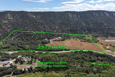 18842 58 6 10 Rd, Collbran, CO 81624 - photo 3