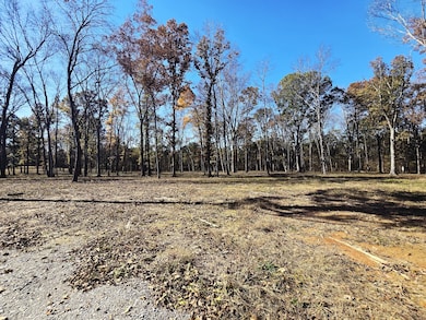 4821 Kedron Rd, Spring Hill, TN 37174 - photo 4