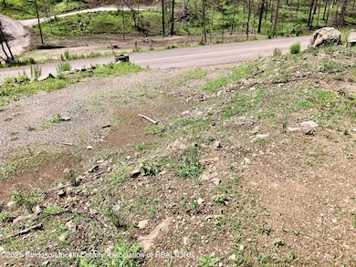 200 Alpine Village Rd, Ruidoso, NM 88345 - photo 4