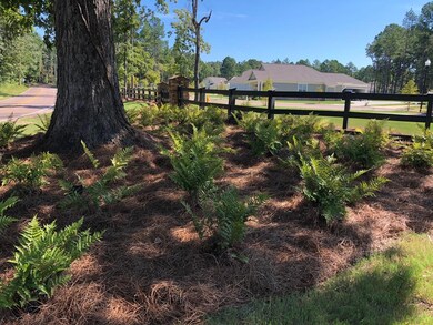 437 Live Oak Dr, Oxford, MS 38655 - photo 7